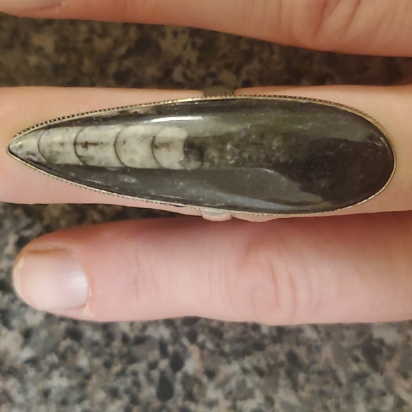 New Huge Orthoceras Fossil 925 Silver Statement Ring. - Picture 4 of 10